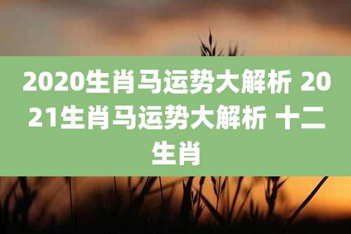 2020生肖马运势大解析 2021生肖马运势大解析 十二生肖