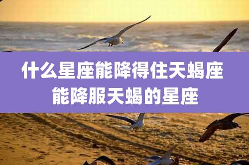 什么星座能降得住天蝎座 能降服天蝎的星座