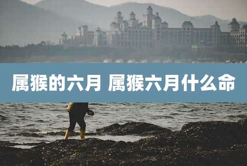 属猴的六月 属猴六月什么命