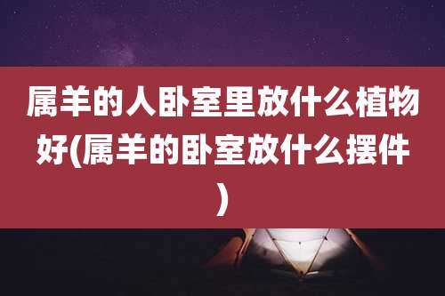 属羊的人卧室里放什么植物好(属羊的卧室放什么摆件)