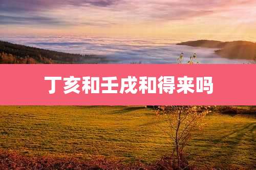 丁亥和壬戌和得来吗