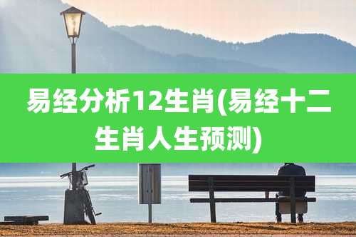 易经分析12生肖(易经十二生肖人生预测)