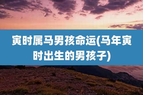 寅时属马男孩命运(马年寅时出生的男孩子)