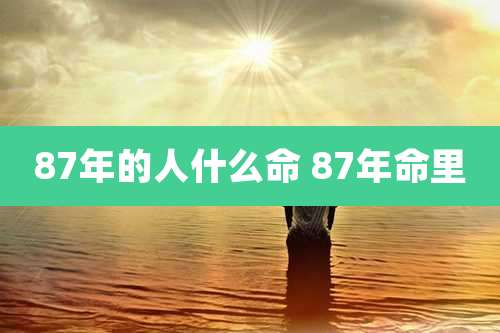 87年的人什么命 87年命里