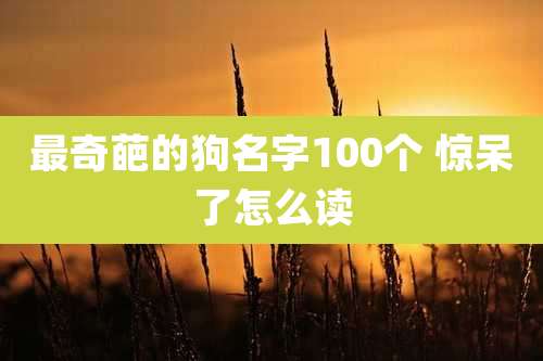 最奇葩的狗名字100个 惊呆了怎么读