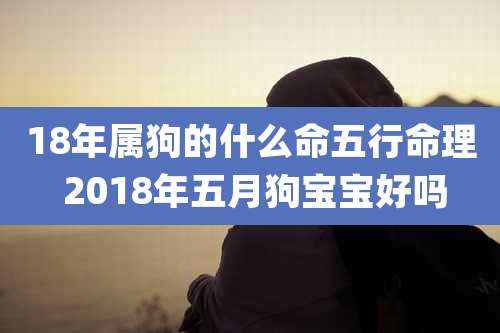 18年属狗的什么命五行命理 2018年五月狗宝宝好吗