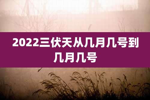 2022三伏天从几月几号到几月几号