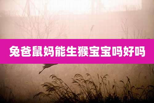 兔爸鼠妈能生猴宝宝吗好吗