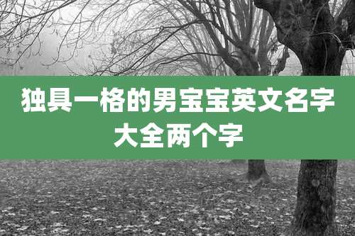 独具一格的男宝宝英文名字大全两个字