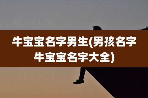 牛宝宝名字男生(男孩名字牛宝宝名字大全)