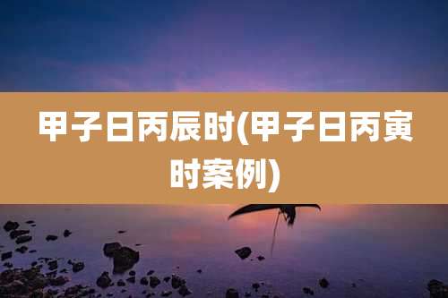 甲子日丙辰时(甲子日丙寅时案例)