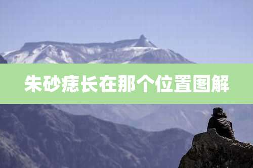 朱砂痣长在那个位置图解