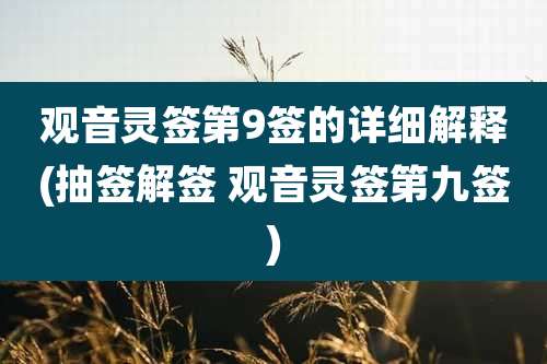 观音灵签第9签的详细解释(抽签解签 观音灵签第九签)