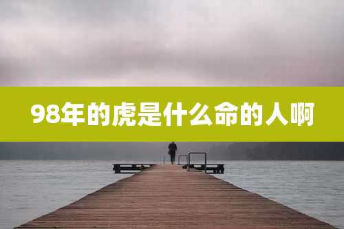 98年的虎是什么命的人啊