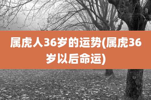 属虎人36岁的运势(属虎36岁以后命运)