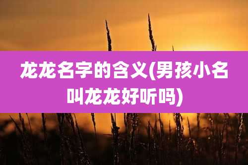 龙龙名字的含义(男孩小名叫龙龙好听吗)