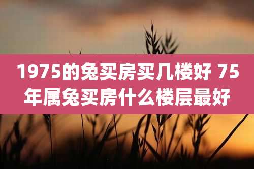 1975的兔买房买几楼好 75年属兔买房什么楼层最好