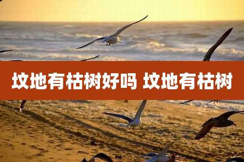 坟地有枯树好吗 坟地有枯树