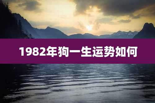 1982年狗一生运势如何