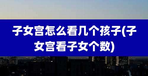 子女宫怎么看几个孩子(子女宫看子女个数)
