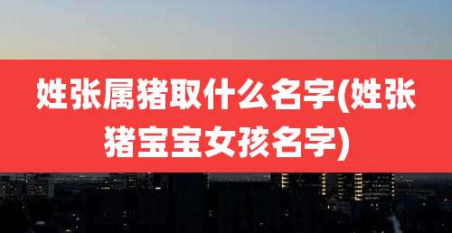 姓张属猪取什么名字(姓张猪宝宝女孩名字)