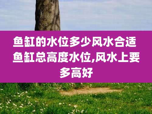 鱼缸的水位多少风水合适 鱼缸总高度水位,风水上要多高好