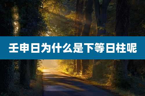 壬申日为什么是下等日柱呢