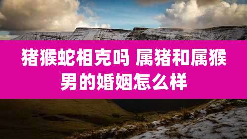 猪猴蛇相克吗 属猪和属猴男的婚姻怎么样