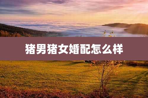猪男猪女婚配怎么样