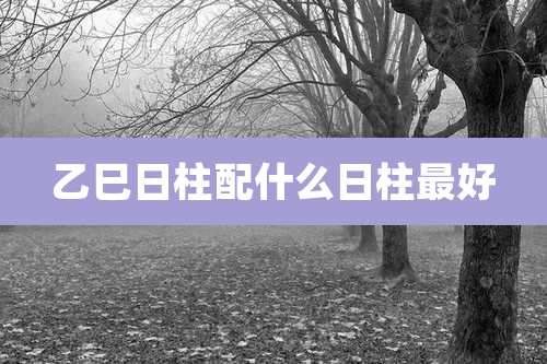 乙巳日柱配什么日柱最好