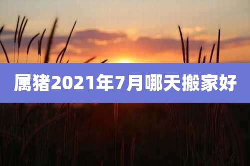 属猪2021年7月哪天搬家好