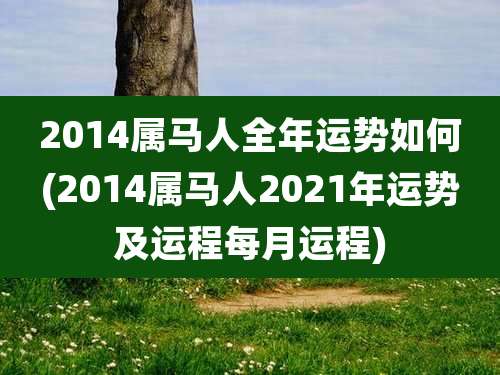 2014属马人全年运势如何(2014属马人2021年运势及运程每月运程)