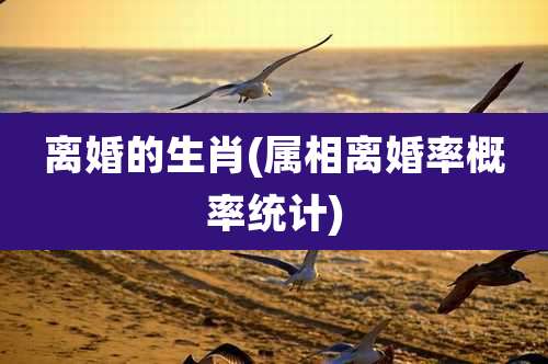 离婚的生肖(属相离婚率概率统计)