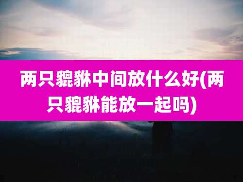 两只貔貅中间放什么好(两只貔貅能放一起吗)