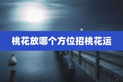 桃花放哪个方位招桃花运