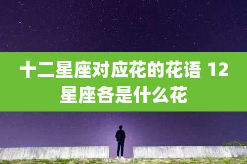 十二星座对应花的花语 12星座各是什么花