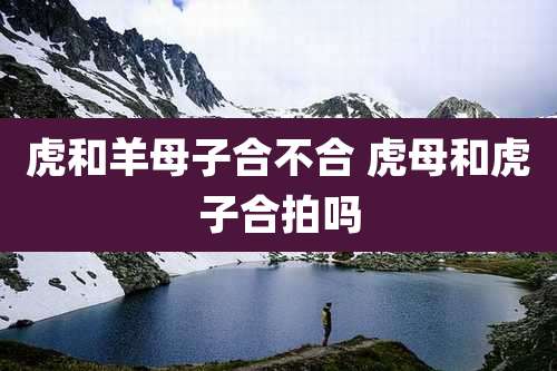 虎和羊母子合不合 虎母和虎子合拍吗