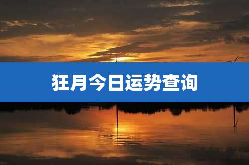 狂月今日运势查询