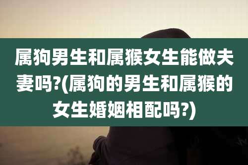 属狗男生和属猴女生能做夫妻吗?(属狗的男生和属猴的女生婚姻相配吗?)