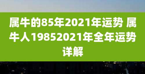 属牛的85年2021年运势 属牛人19852021年全年运势详解