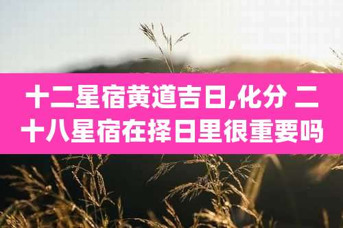 十二星宿黄道吉日,化分 二十八星宿在择日里很重要吗