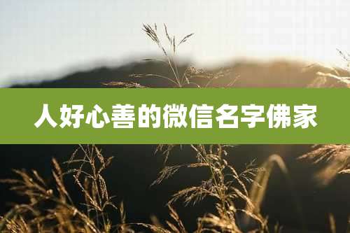 人好心善的微信名字佛家