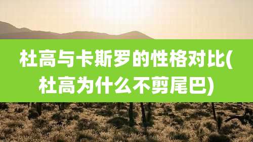 杜高与卡斯罗的性格对比(杜高为什么不剪尾巴)