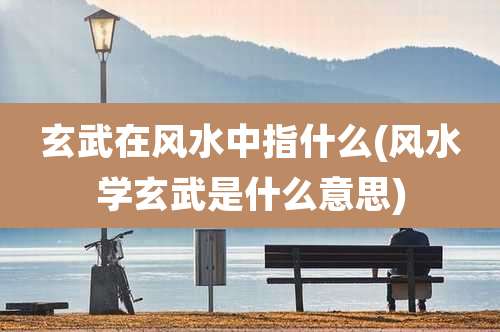 玄武在风水中指什么(风水学玄武是什么意思)