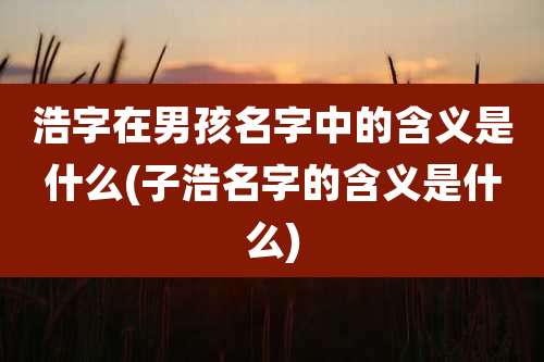 浩字在男孩名字中的含义是什么(子浩名字的含义是什么)