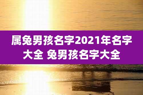 属兔男孩名字2021年名字大全 兔男孩名字大全