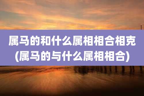 属马的和什么属相相合相克(属马的与什么属相相合)