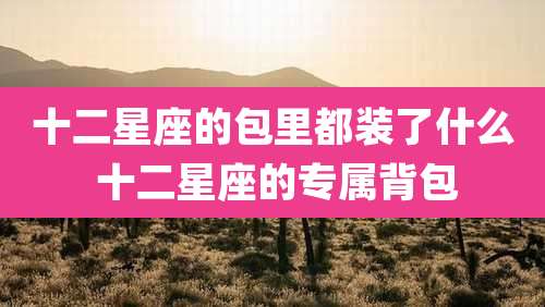 十二星座的包里都装了什么 十二星座的专属背包