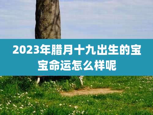 2023年腊月十九出生的宝宝命运怎么样呢