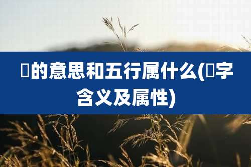 瑄的意思和五行属什么(瑄字含义及属性)